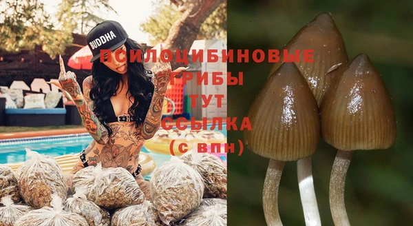меф Гусиноозёрск