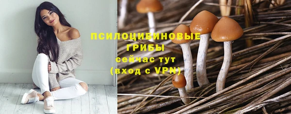 а пвп мука Вяземский