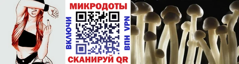 Галлюциногенные грибы Magic Shrooms  Долгопрудный 